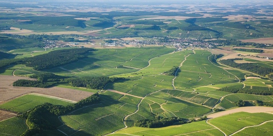 Discover the most northerly of Bourgogne appellations.
                