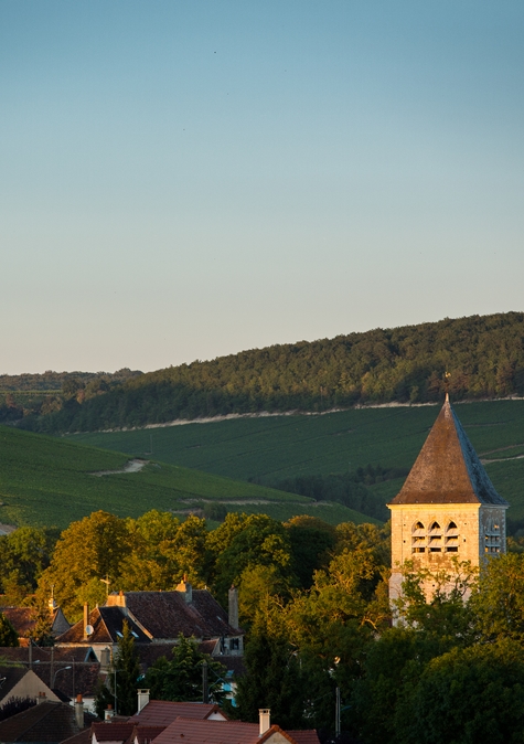 Chablis, one of the most well-known French wine in the world 