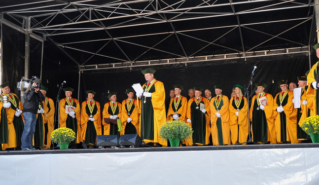 The Fête des Vins in Chablis
                