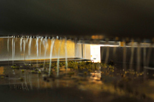 Vinification and ageing of Chablis wines