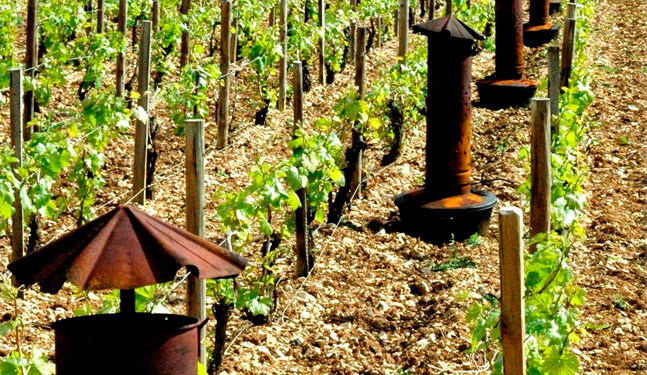 Heaters - Chablis