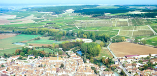Bourgogne wine, Chablis Grand Cru appellation - Preuses