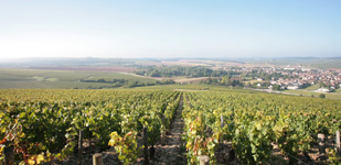 Bourgogne wine, Chablis Grand Cru appellation - Valmur