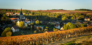 Bourgogne wine, Chablis Premier Cru appellation - Vau Ligneau