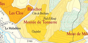 Bourgogne wine, Chablis Premier Cru appellation - Chapelot