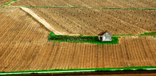 Bourgogne wine, Chablis Premier Cru appellation - Côte de Fontenay