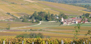 Bourgogne wine, Chablis Premier Cru appellation - Côte de Léchet