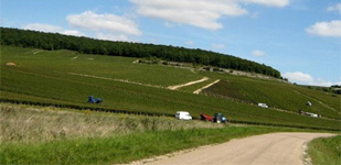 Bourgogne wine, Chablis Premier Cru appellation - Fourchaume