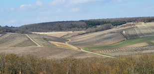 Bourgogne wine, Chablis Premier Cru appellation - Troesmes