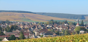 Bourgogne wine, Chablis Premier Cru appellation - Les Lys