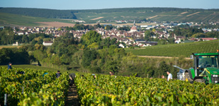 Bourgogne wine, Chablis Premier Cru appellation - Montée de Tonnerre
