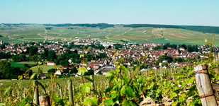 Bourgogne wine, Chablis Premier Cru appellation - Montmains