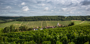 Bourgogne wine, Chablis Premier Cru appellation - Côte des Prés Girots