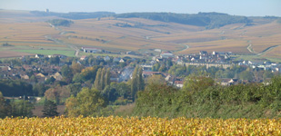 Bourgogne wine, Chablis Premier Cru appellation - Mélinots