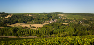 Bourgogne wine, Chablis Premier Cru appellation - L’Homme Mort