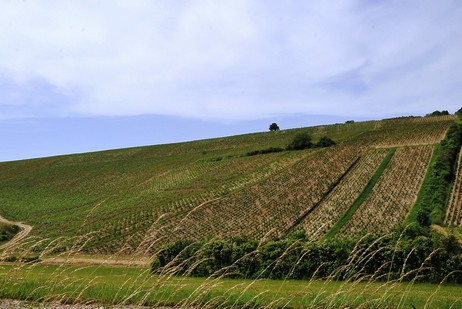 Climat Côte de Jouan