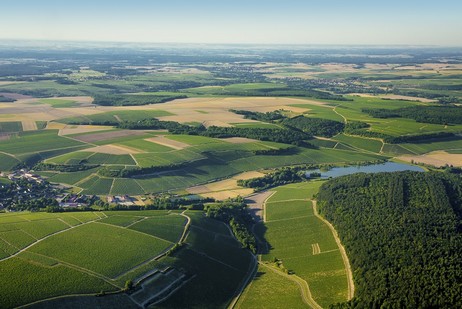 Climat Côte de Savant