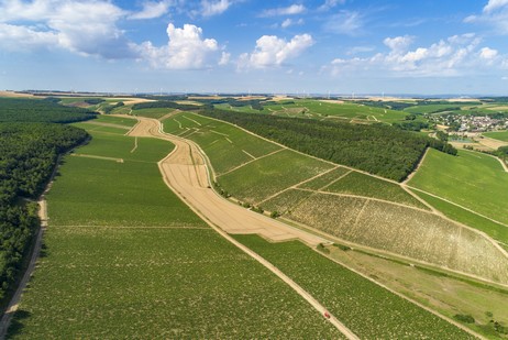 Climat Vau de Vey