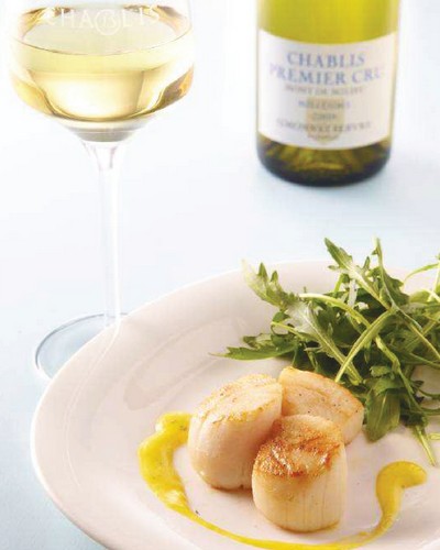 Pan-fried scallops/Chablis/Bourgogne/Burgundy/French wine/Chardonnay/ 