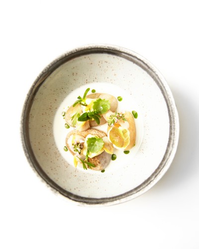 Shellfish and Chablis Premier Cru
