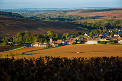 A guided tour through the vines of Chablis in the Bourgogne / Burgundy region