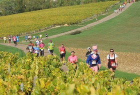 Chablis Marathon