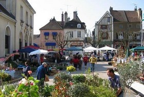 Marché des Vins de l’Yonne and Marché aux Fleurs