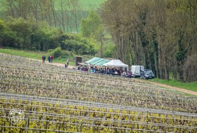 The balade gourmande