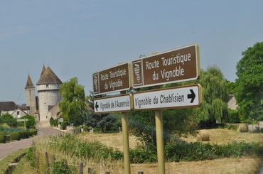 Visite culturel autour des vins de Chablis