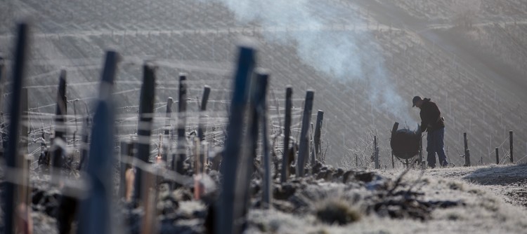 Pruning Pruning
