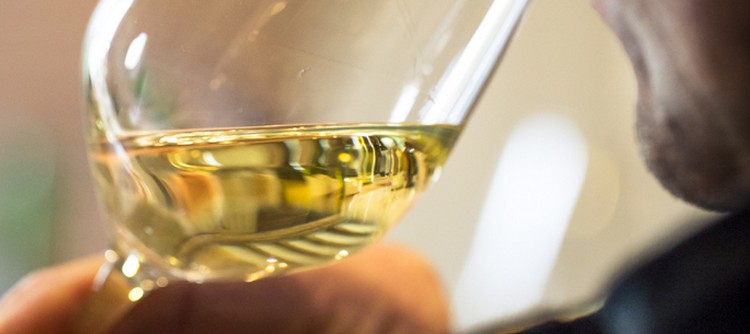 Discover the 2014 vintage in Chablis