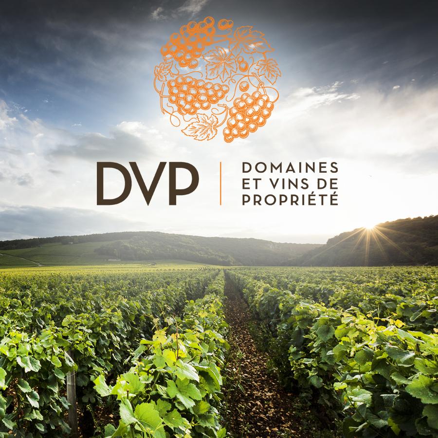 DVP - Domaines & Vins de Propriété Dominique PATIENT