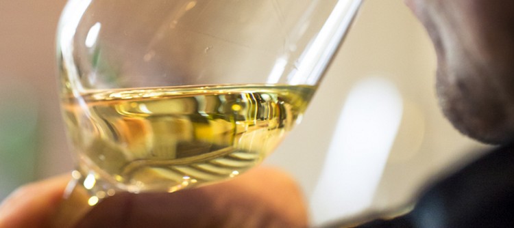 CHABLIS CELLARS ARE READY TO WELCOME YOU CHABLIS CELLARS ARE READY TO WELCOME YOU