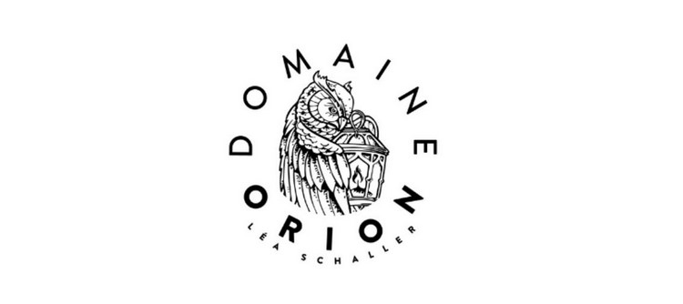 Domaine Orion: a new player in the Chablis region