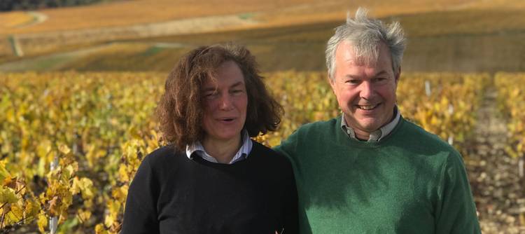 Le Château de Viviers: a new domain in Chablis transitioning to organic
