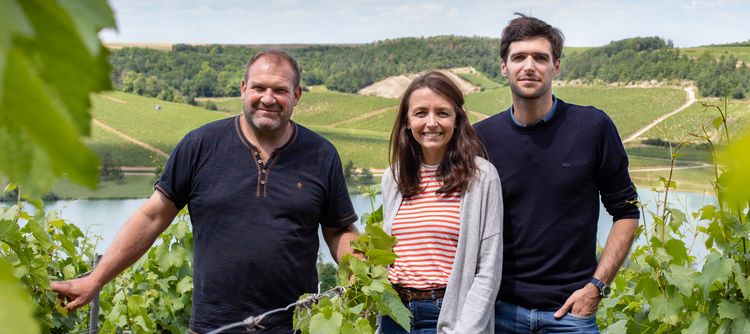 A wave of younger winemakers ripples through Chablis