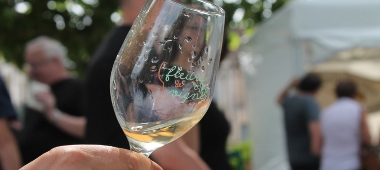 FLEURS DE VIGNE 2025: COME SAMPLE THE WINES OF THE YONNE FLEURS DE VIGNE 2025: COME SAMPLE THE WINES OF THE YONNE