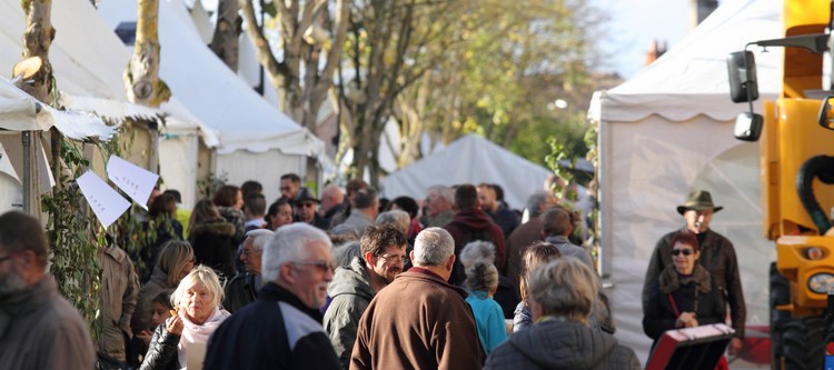 THE CHABLIS WINE FESTIVAL RETURNS OCTOBER 22 AND 23!