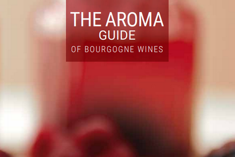 The aroma guide