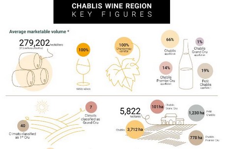 Key figures for the Chablis winegrowing region