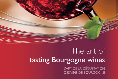 The art of tasting wine in Bourgogne