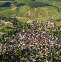 Chablis Grand Cru Symphony